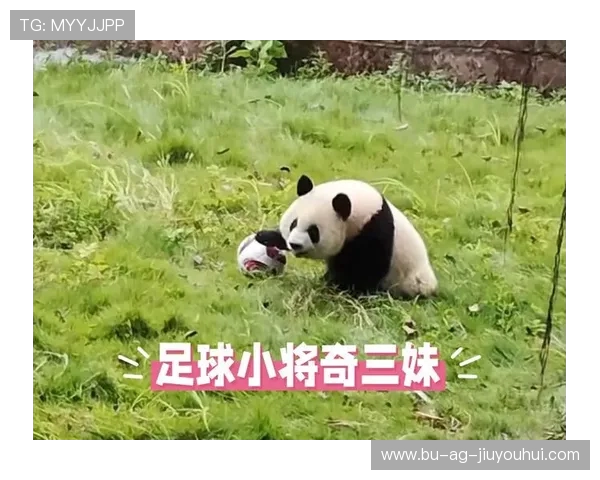 三妹熊猫化身足球小将带领队友奋勇拼搏挑战世界冠军