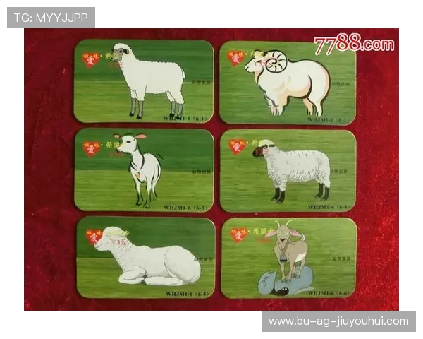 足球小妹是什么生肖 解析她的出生年份与生肖特点